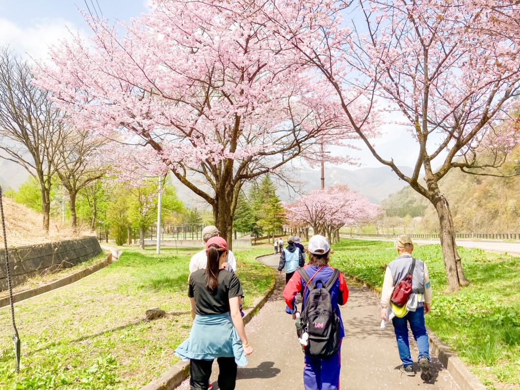 桜ウォーキング開催🌸